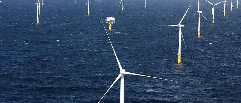 Kohlefaserklingen Carbon fiber blades