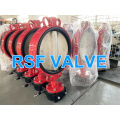 Concentric Wafer Type A Butterfly Valve Lever