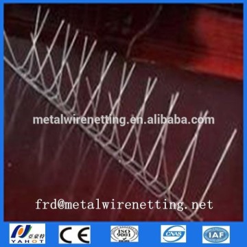 Metal Bird Spike Wire