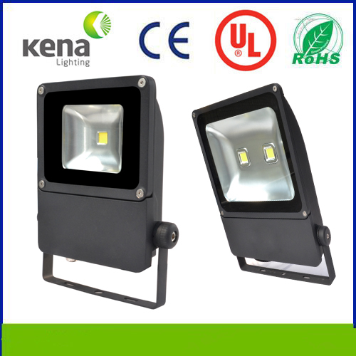 UL COB Bridgelux LED Floodlight