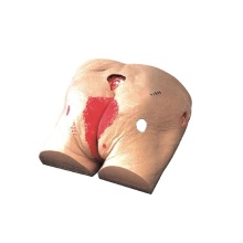 DARHMMY Advanced Medical Science Decubitus Care Model for Nursing Training