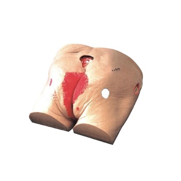 DARHMMY Advanced Medical Science Decubitus Care Model for Nursing Training
