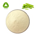 Vicia faba Protein Peptid Pulver Preis