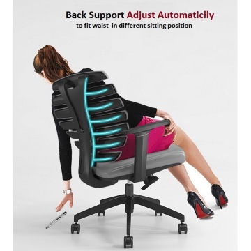 Adjustable Back Support Ergonomic Computer Office Chair