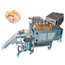 Hot Selling Commercial Egg Cracking Machine - Egg Liquid Breaking Machine | Egg White and Yolk Separator Machine Price