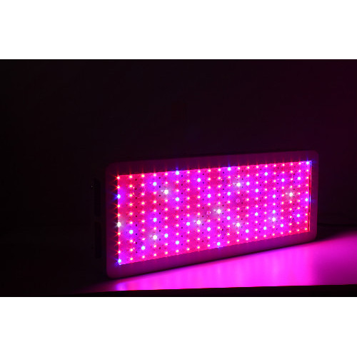 Hurtownie wysokiej jakości Full Spectrum Led Grow Lights