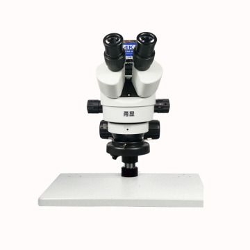 insect research Digital stereo microscope with 4k camera