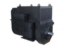 Double Bearing IP55 Generator