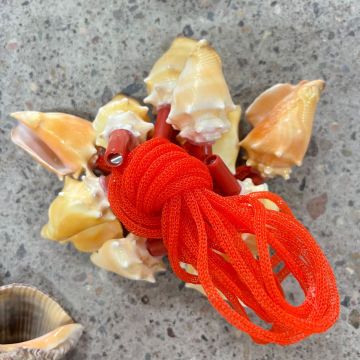 Hot Selling 10pcs Natural Conch Whistle Shells - Toys & Gifts