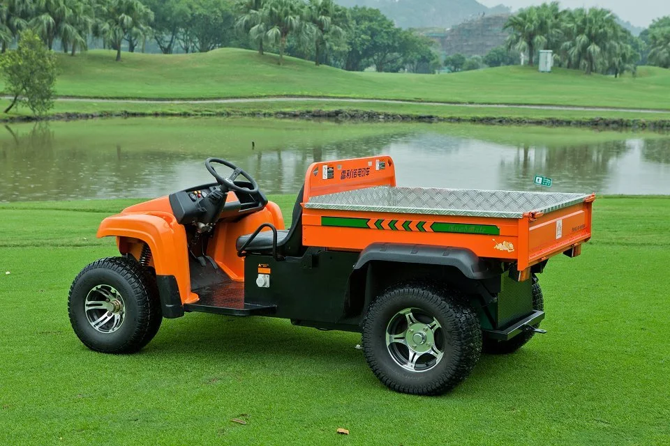 Impressive Design 4 Wheeler Electric UTV with Ce Certification