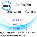 Shenzhen Port Sea Freight Shipping To Victoria