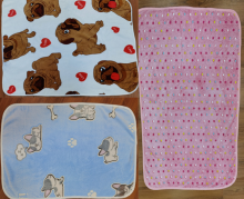 Pet floor mat (customizable)