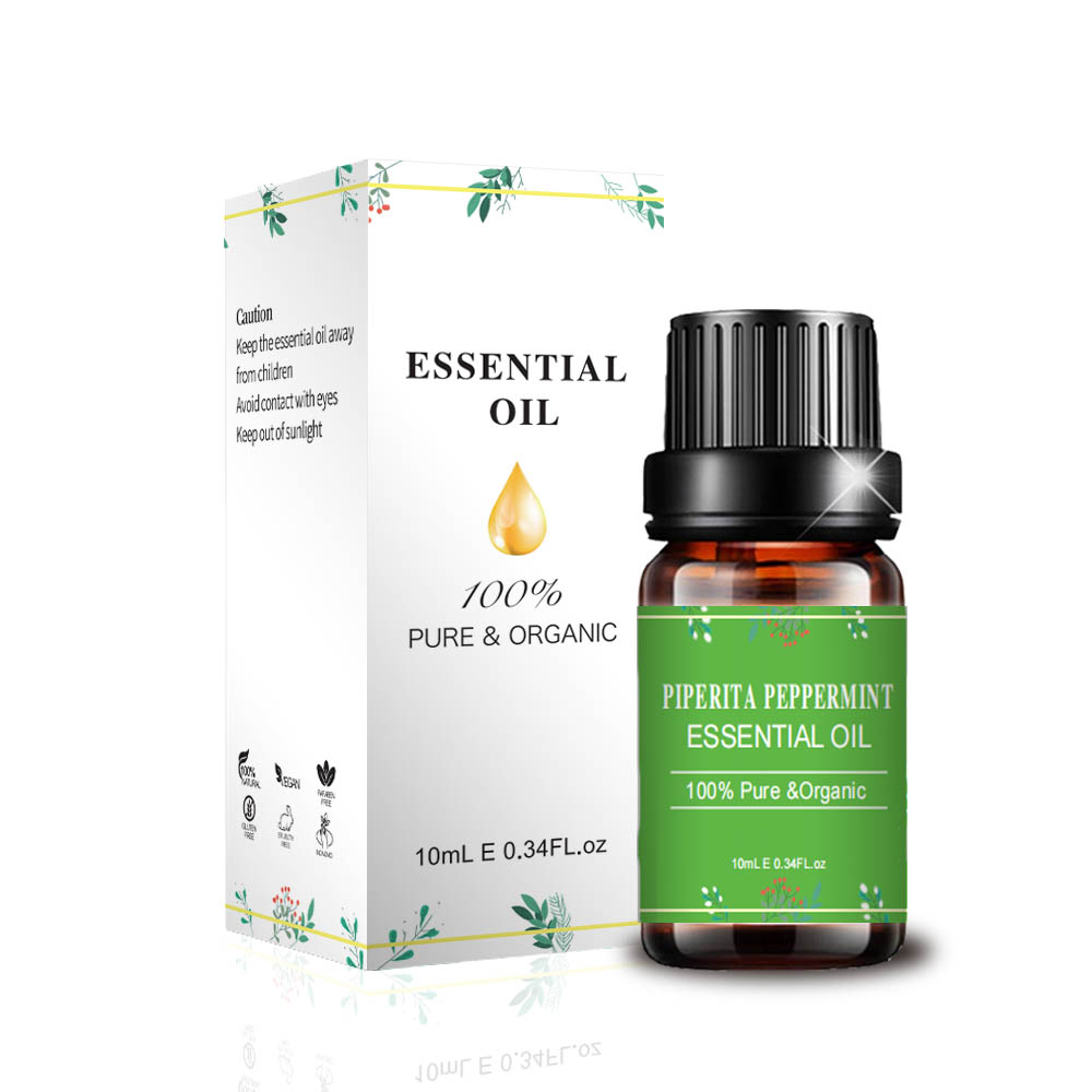 البيع بالجملة Piperita Peppermint Osder