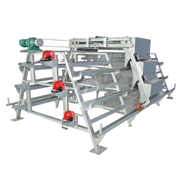 China Fox Proof Pullet Chicken Coop A Type Automatic Pullet Cage 920*730*420mm