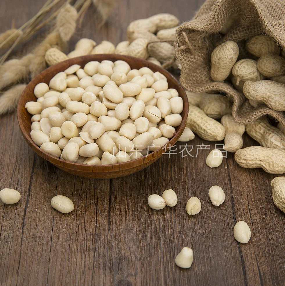 EU Quality Blanched Peanut Kernels 2021 New Crop