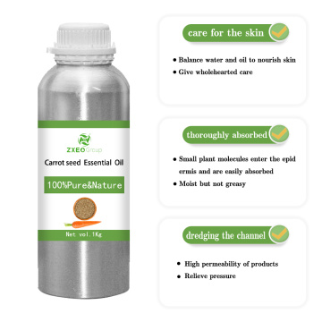Aceite esencial de semillas de zanahoria 100% puro y natural para alimentos cosméticos y de alta calidad impecable de grado farmacéutico a los mejores precios