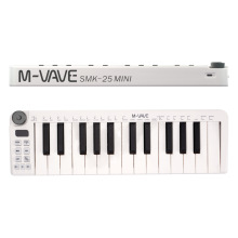 Portable Mini 25 Key Digital Piano - Professional Electronic MIDI Keyboard Controller