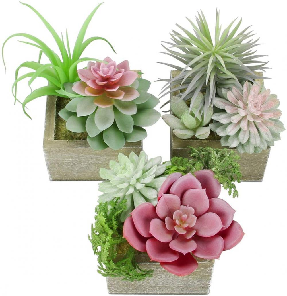 Mini pelbagai succulents palsu hijau dalam periuk