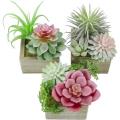 Mini Assorted Green Faux Succulents in Pots