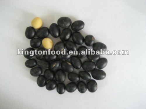 new crop Chinese black soy beans