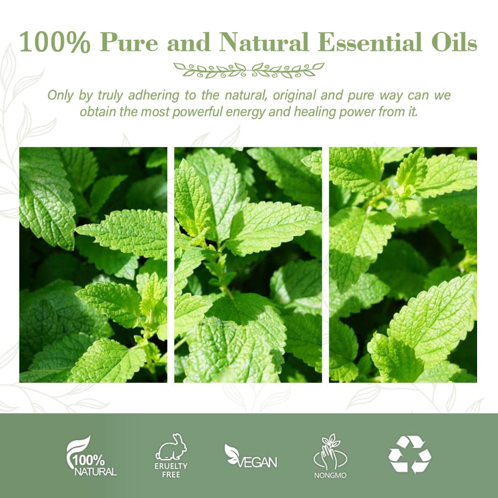 Huile de menthe poivrée 100% biologique Pure Natural Pure Pure pour l&#39;arôme