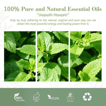 Aceite de menta de grado de alimentos puro natural 100% orgánico para aroma