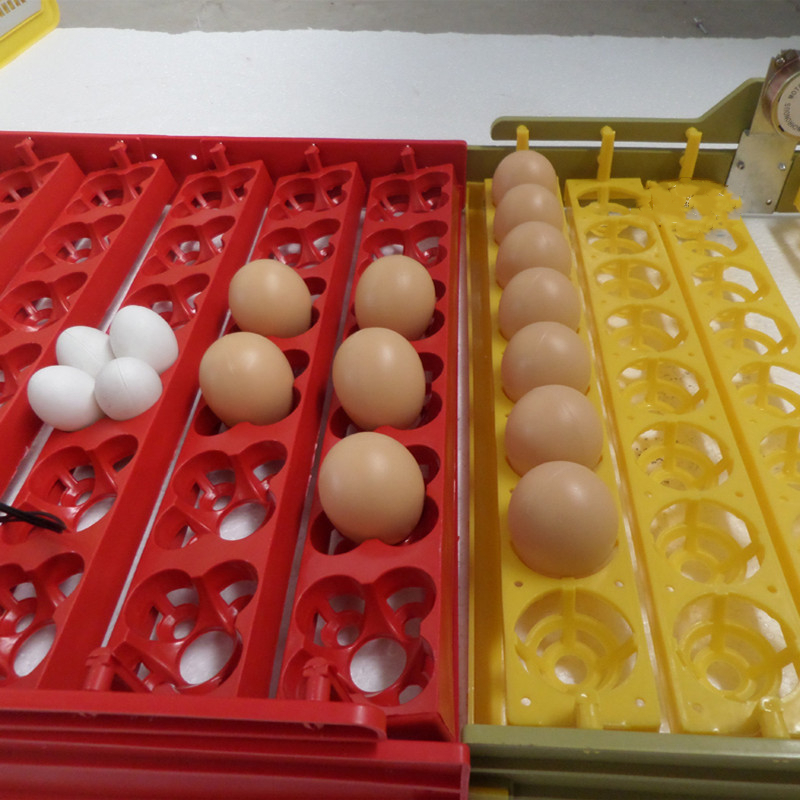 Popular Quail Egg Incubator Tray With Sturdy