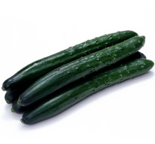 F1 hybrid cucumber seeds in vegetable seeds