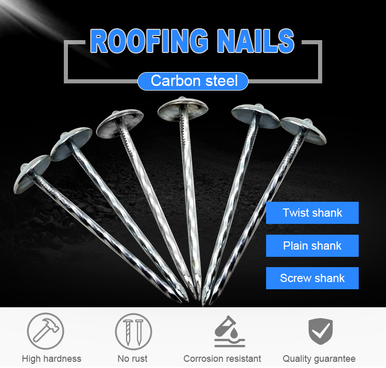 35mm stainless steel roofing nails