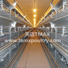 Chicken Cages for Layer Farming