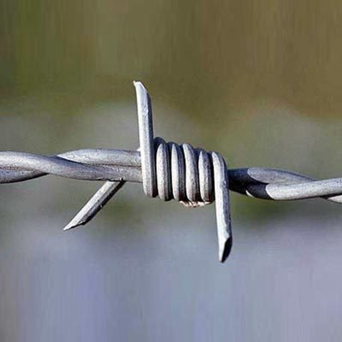 Barbed Wire 23