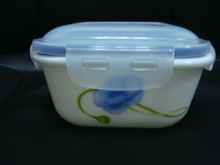 Square Bowl With Airproof Cover (FH500)