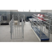Pig Gestation Stall