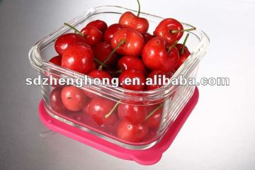 Glass food container with silicone cover