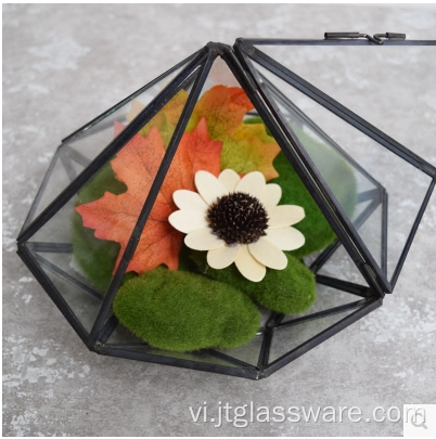 Hình dạng bóng ngũ giác Mở Nhà máy Thủy tinh Terrarium