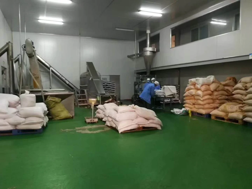Top Quality 100% Natural Pumpkin Powder for Free Sample