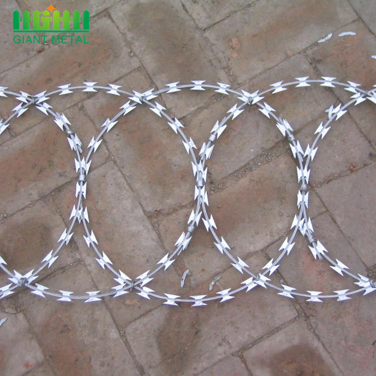 Cheap Galvanized Steel Plate Razor Barbed Wire Price