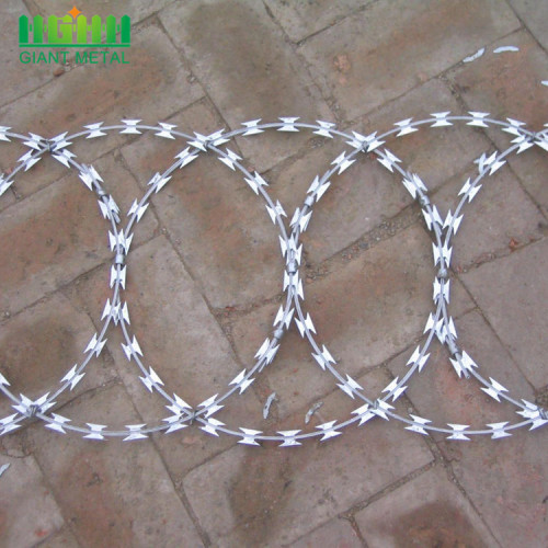 Harga Rendah Concertina Single Loop Razor Barbed Wire