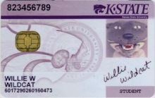 Compatible Chinese FM4442/4428 Issi 4442/4428 Contact IC Chip Cards