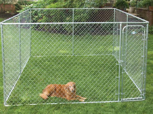 dog kennel