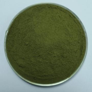 Alfalfa Juice Green Powder