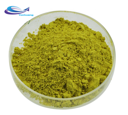 Top quality sophora japonica extract quercetin 98%