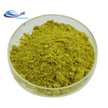 100% Natural High Quality Green Tea Powder Matcha