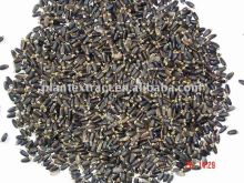 High-class Milk Thistle seeds extract