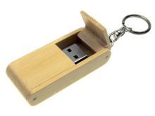 Key USB Flash Disk with Key Chain