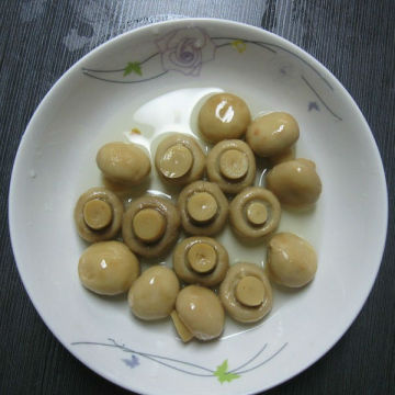 champignon mushroom whole