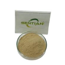 Rennet Enzyme for Cheese and Yogurt