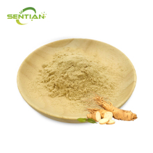 High-purity ginsenoside powder of scientific research grade