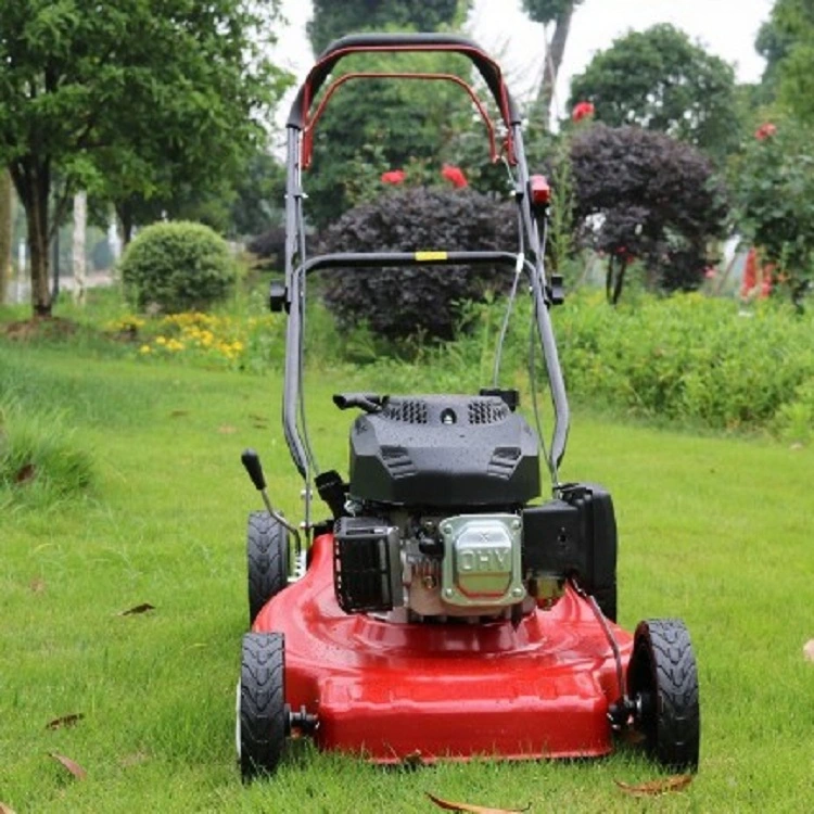 Hand Push Gasoline Grass Cutter Lawn Mower