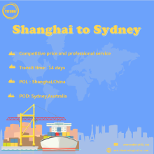 Ocean Freight From Qingdao To Sydney